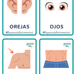 Tarjetas partes del cuerpo